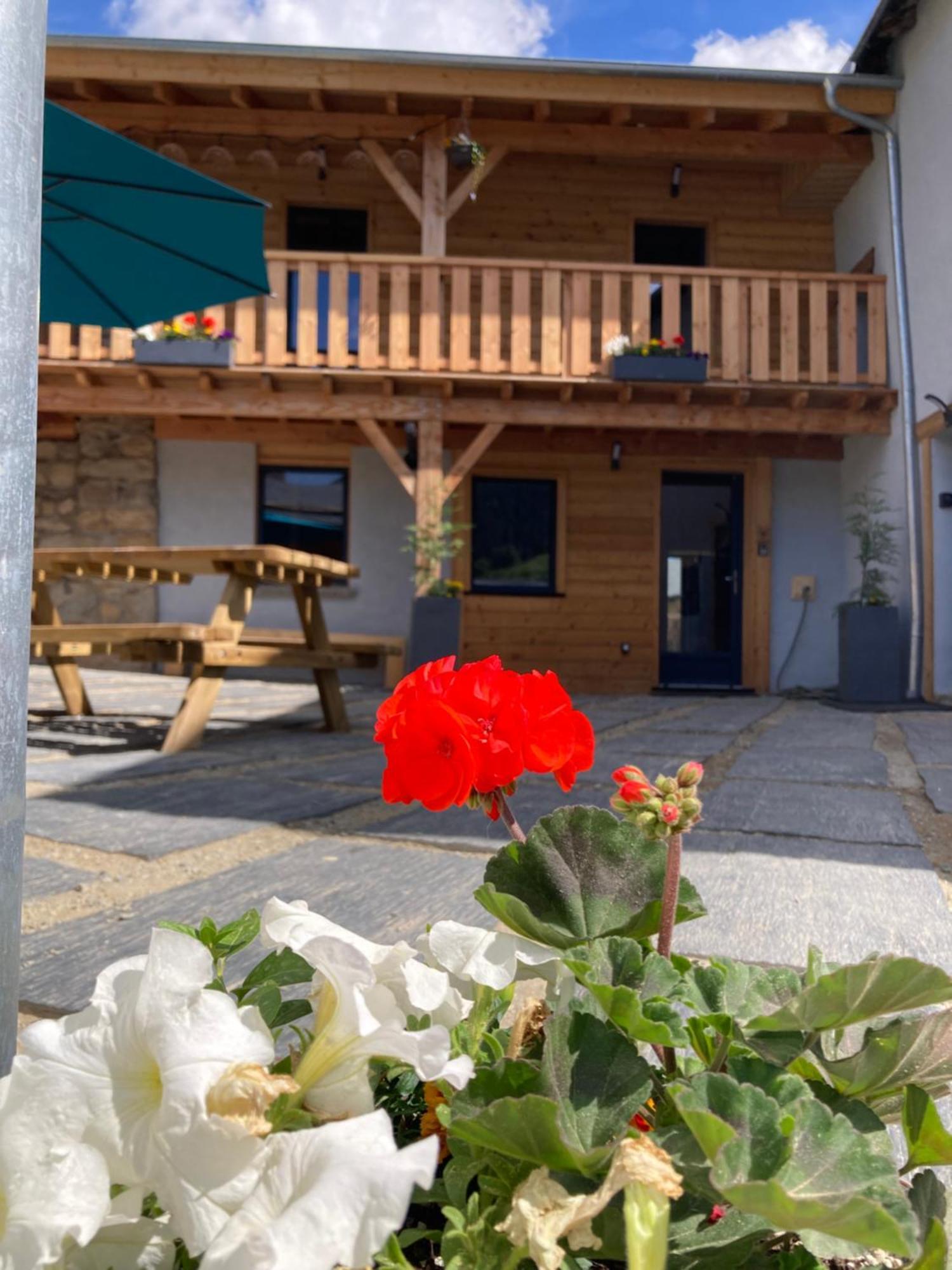 Studio Canellito Le Clos Des Ours Matemale Eksteriør bilde